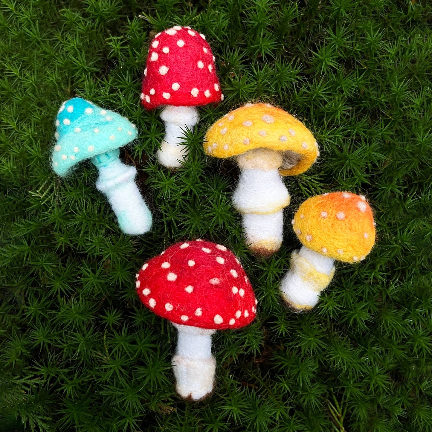 Toadstool Needle Felting Kit
