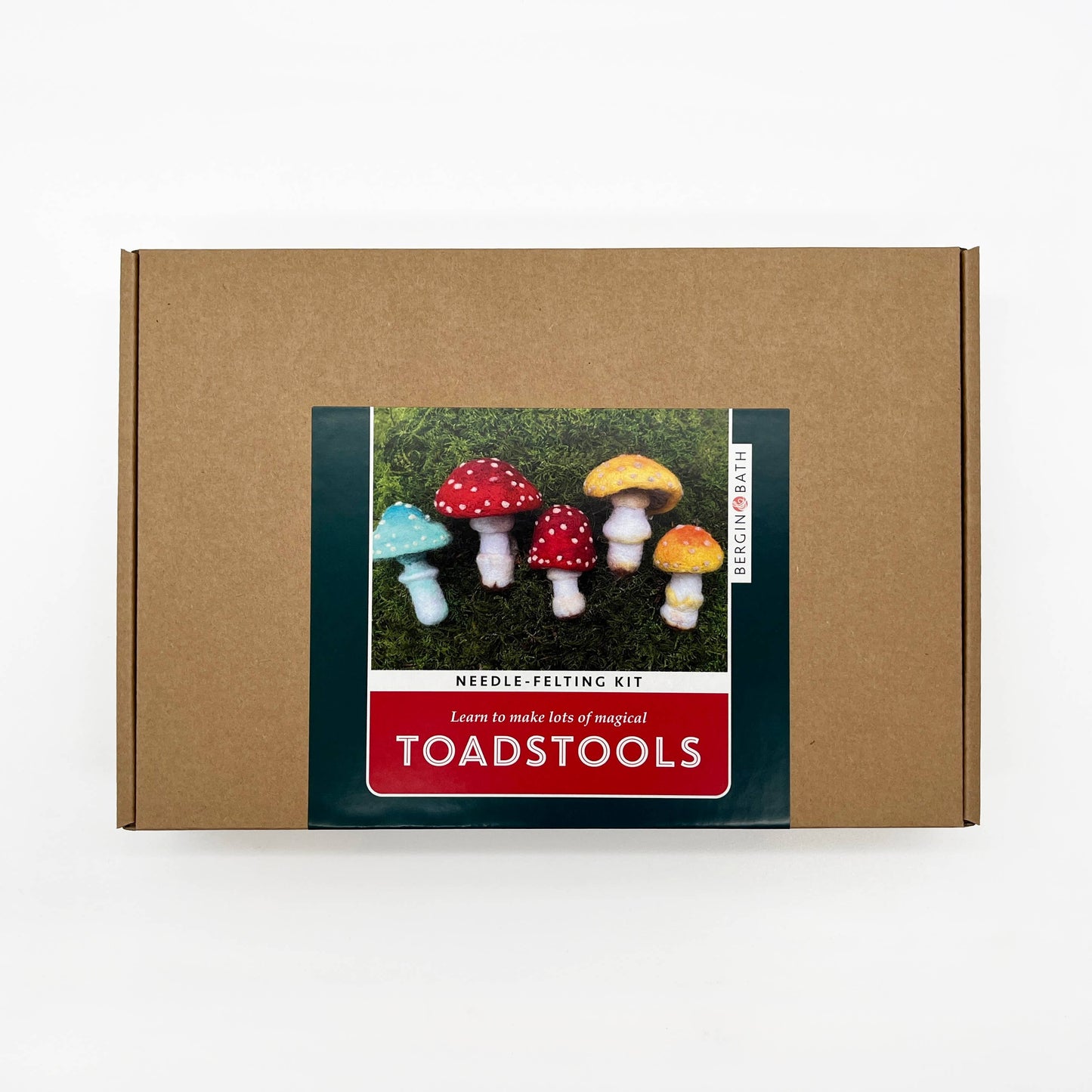 Toadstool Needle Felting Kit