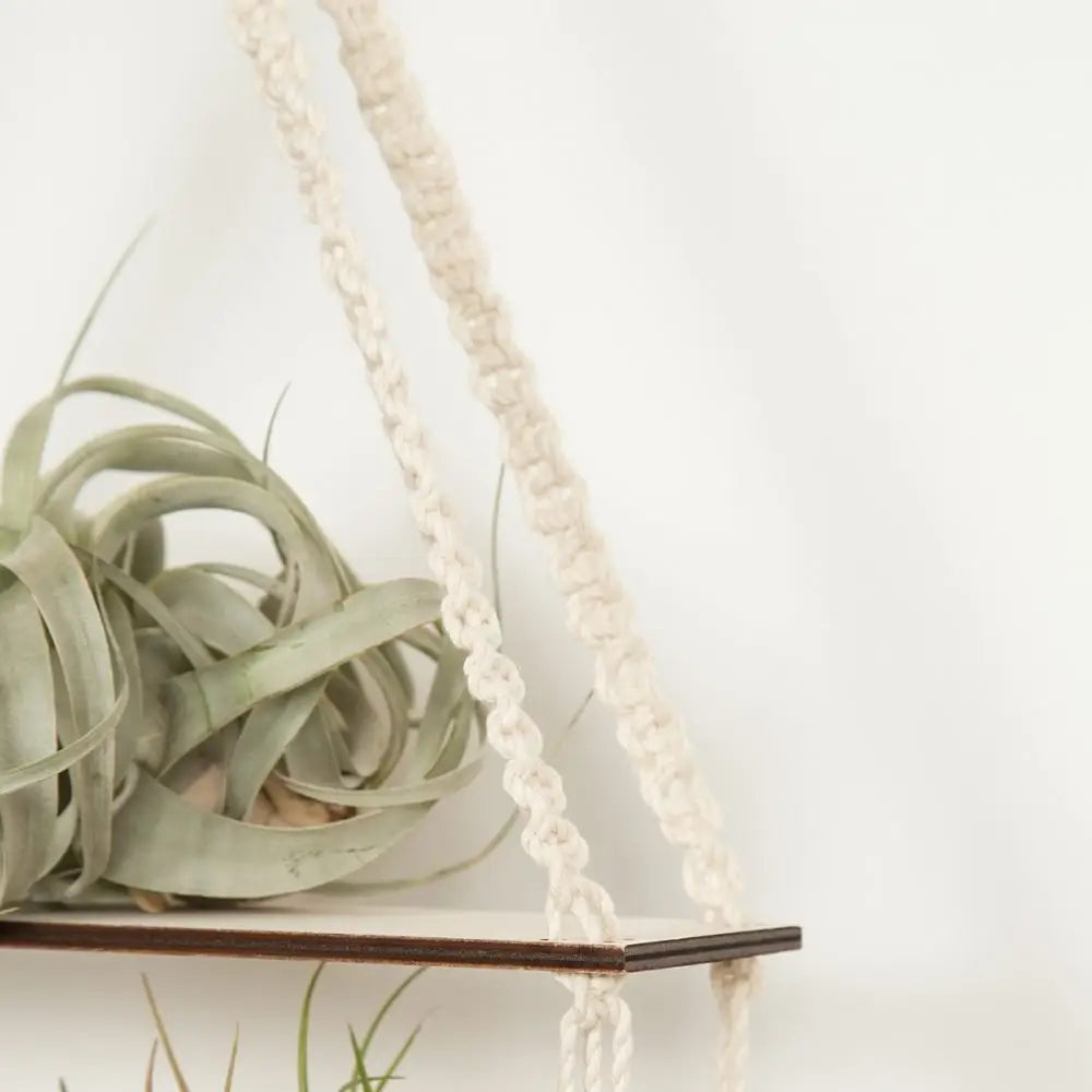 Three Tier Macrame shelf Kit