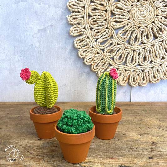 Cactus Crochet Kit