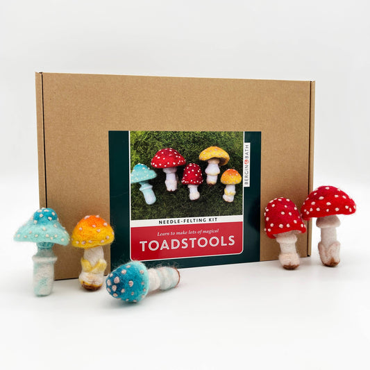 Toadstool Needle Felting Kit