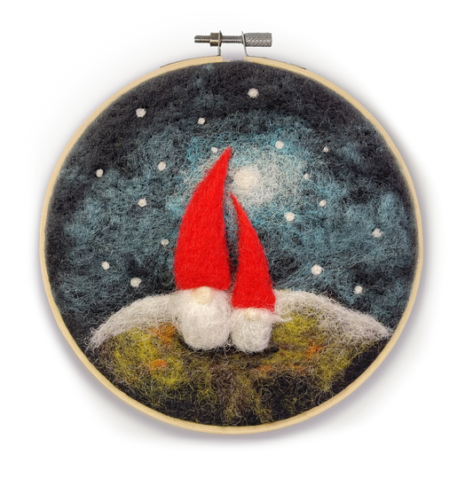 Gnomes Needle Felting Craft Kit