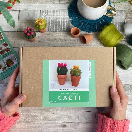 Needle felting Cacti kit